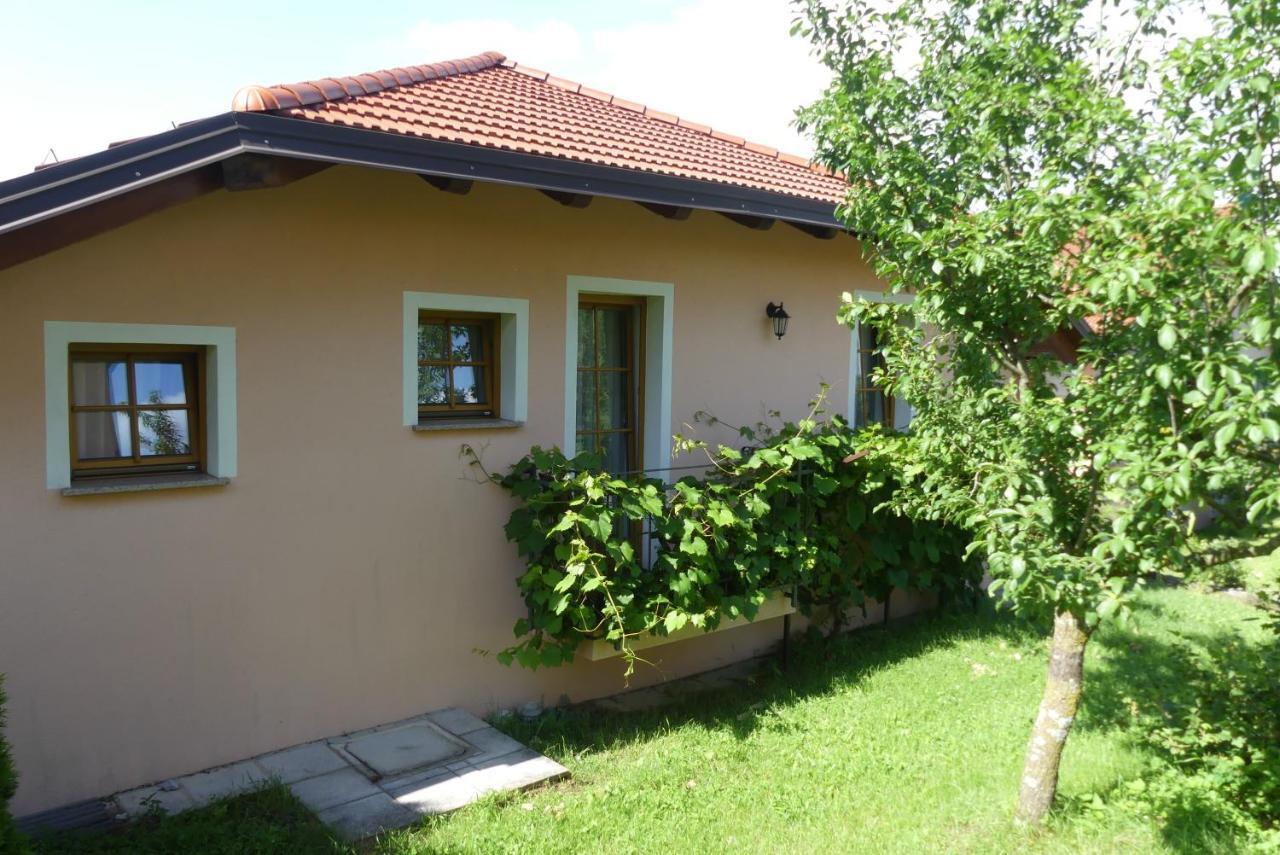 Pension Na Meji Pivka Exteriör bild